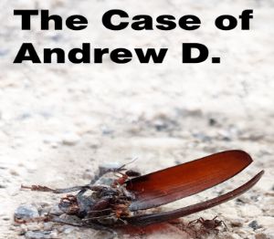 The Case of Andrew D. PC Steam Ключ