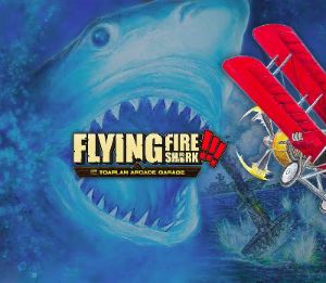 Toaplan Arcade Garage: Flying Fire Shark EU Nintendo Switch CD Key