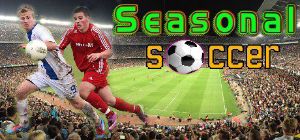 Seasonal Soccer Steam Ключ