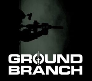 Ground Branch EU PC Steam Альтергифт