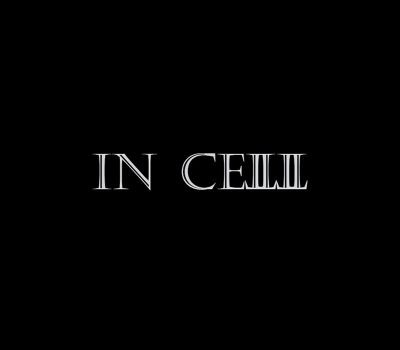 IN CELL Steam Ключ