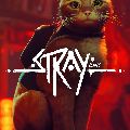 Stray — Ключи активации