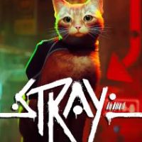 Stray Steam Аккаунт