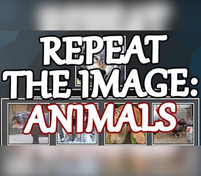 Repeat the image: Animals Steam Ключ