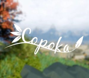 Copoka PC Steam Ключ