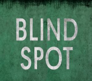 BLIND SPOT PC Steam Ключ
