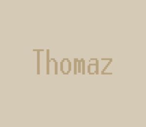 Thomaz Steam Ключ