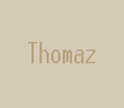 Thomaz Steam Ключ