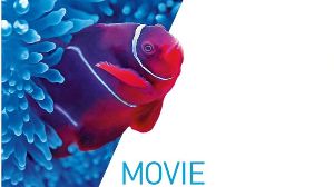 MAGIX Vegas Movie Studio 16 Platinum Ключ