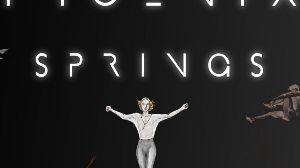 Phoenix Springs PC Steam Ключ