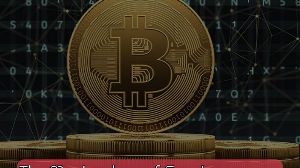 Masterclass of Cryptocurrency – Dive into Crypto Fundamentals John Academy Code