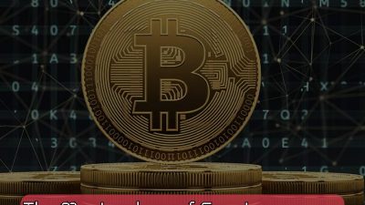 Masterclass of Cryptocurrency – Dive into Crypto Fundamentals John Academy Code