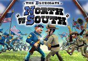 The Bluecoats: North vs South Steam Ключ