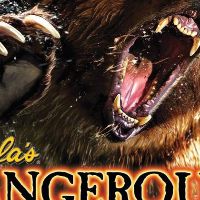 Cabela's Dangerous Hunts 2013 Steam Ключ