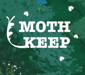 Mothkeep PC Steam Ключ