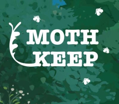 Mothkeep PC Steam Ключ