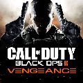 Call of Duty: Black Ops II — Ключи активации