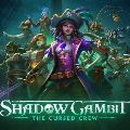 Shadow Gambit: The Cursed Crew — Other
