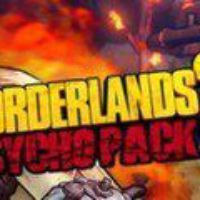 Borderlands 2 - Psycho Character Pack EN/IT/FR Languages Only DLC Steam Ключ