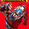 Borderlands 4 — Ключи активации