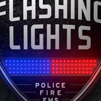 Flashing Lights - Police Fire EMS Steam Ключ