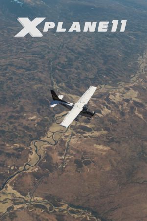 X-Plane 10 Global - 64 Bit Steam Подарок