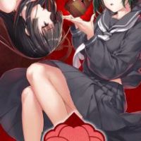Nie No Hakoniwa - Dollhouse of Offerings PC Steam Ключ (valid until April 2027)