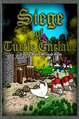 Siege of Turtle Enclave Steam Ключ