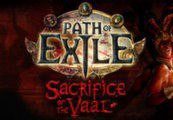 Path of Exile - Arctic Crown + Cobra Pet Ключ