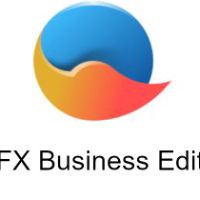 IcoFX Business License v3.9 PC Ключ (2 PC)