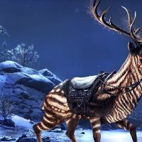 The Elder Scrolls Online - The Hailcinder Mount Pack DLC Steam Альтергифт