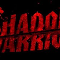 Shadow Warrior Особое издание Steam Ключ