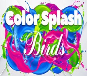 Color Splash: Birds Steam Ключ