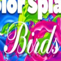 Color Splash: Birds Steam Ключ