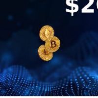 Rewarble Crypto (BTC) USD 200 Подарочная карта