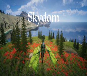 Skydom Steam Ключ