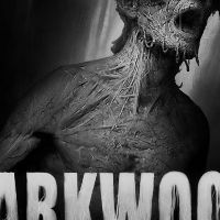 Darkwood Deluxe-издание PC Steam Ключ
