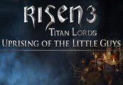 Risen 3 - Uprising of the Little Guys DLC PC Steam Ключ