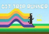 BIT.TRIP RUNNER Steam Подарок