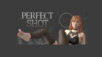 Perfect Shot PC Steam Ключ