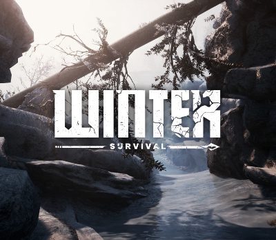 Winter Survival Epic Games Аккаунт
