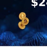 Rewarble Crypto (BTC) USD 240 Подарочная карта