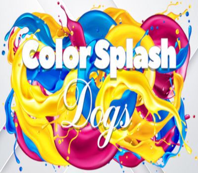 Color Splash: Dogs Steam Ключ