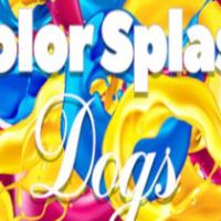 Color Splash: Dogs Steam Ключ
