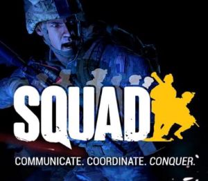 Squad EU PC Steam Альтергифт