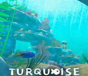 Turquoise PC Steam Ключ