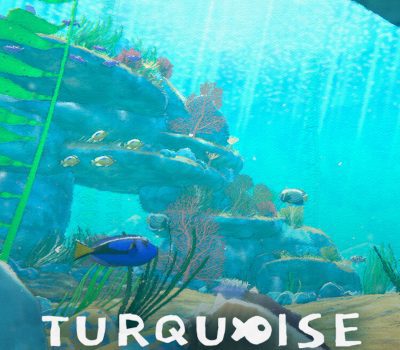 Turquoise PC Steam Ключ