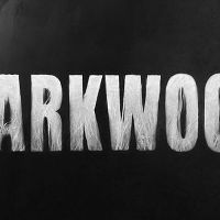 Darkwood LATAM PC Steam Ключ