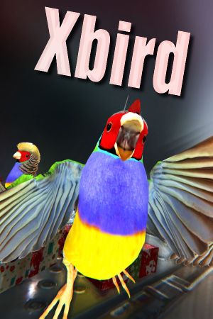 Xbird Steam Ключ