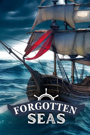 Forgotten Seas NA PC Steam Ключ
